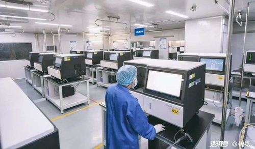 破局生命科學前沿 中國如何以機電科技之翼驅動精尖設備自主創(chuàng)新